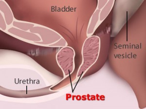 prostata-news prostata-news