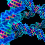 Geni anti virus legati a mutazioni che causano il cancro cancro