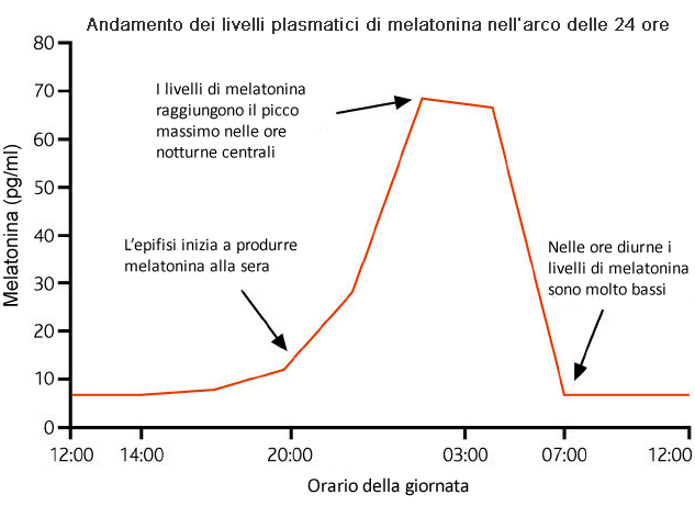 grafico_melationina