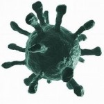 virus-herpes-zoster-varicella