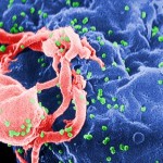 article-1371540-0B67DE7400000578-933_468x311