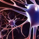 ba98dc16264b9e41ae8bb987a59e3efe_small