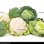 broccoli-cavoli-e-cavolfiori_354906