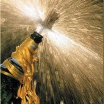 champagne-3675