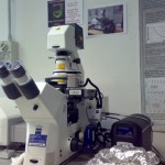 cnr_supermicroscopio 3D