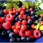 frutti-di-bosco