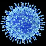 virus460