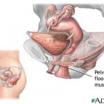 incontinenza_urinaria