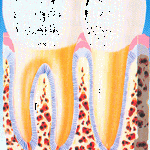 pic06[1]