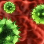 norovirus_cells_closeup