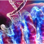 analisi-del-dna-mitocondriale