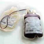 sacca_di_sangue_1993_l (1)