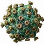HIV-virus