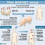 influenza_H1N1