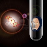 8905829-fecondazione-in-vitro