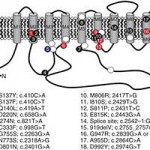 TYP-464595-4801226-gene-emiplegia (1)