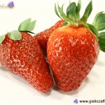 fragole380m