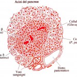 diabete_2 (1)