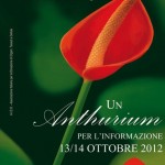 317506_351148344979801_731253299_n