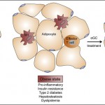 Microsoft PowerPoint - iNKT lynch preview-Figure
