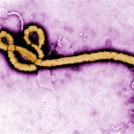 ebola-prev
