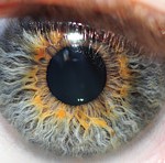eye-see-you-michael-mckinney