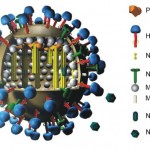h5n1