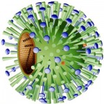 influenza (1)