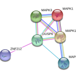 networkList