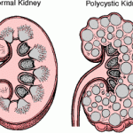 acf6e19a3aed8e62dda9dccac7cc9a29 (1)