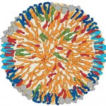 img-fig001