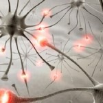 neuroni (1)