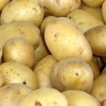 Patate