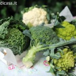 famiglia-delle-crucifere-120521114845_fotogallery