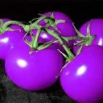 images (25)