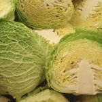cavolo_verza