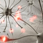 epilessia-neurons_about_1