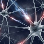 malattie-neurologiche