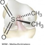 metilsulfonilmetano