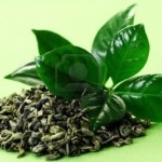 4452394-mucchio-di-te-verde--erboristeria