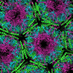 prione_struttura_cristallografica