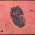 6a00e554c8931d883300e554caf0788833-500wi