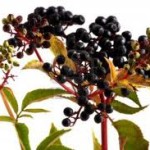 images (98)