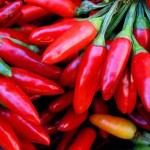 peperoncino2