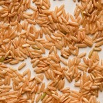 long_grain_brown_rice