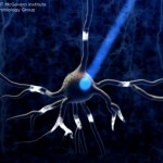 optogenetics-neuron-640x353