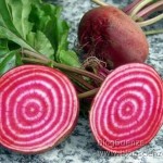 succo-barbabietola-rossa-contro-pressione-alta