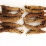 il-ginseng-coreano