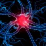parkinson (3)