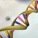 Sindrome_di_Angelman